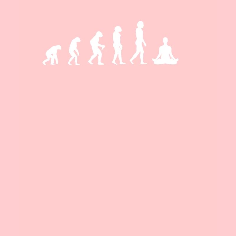 evolution of meditation