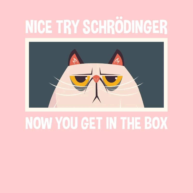 Netter Versuch Schrödinger Physik Physiker