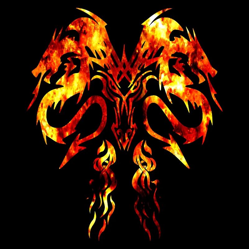 Dragons and Fire