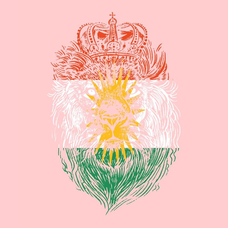Kurdistan Löwe Kurde Kurden Kurdisch Geschenk
