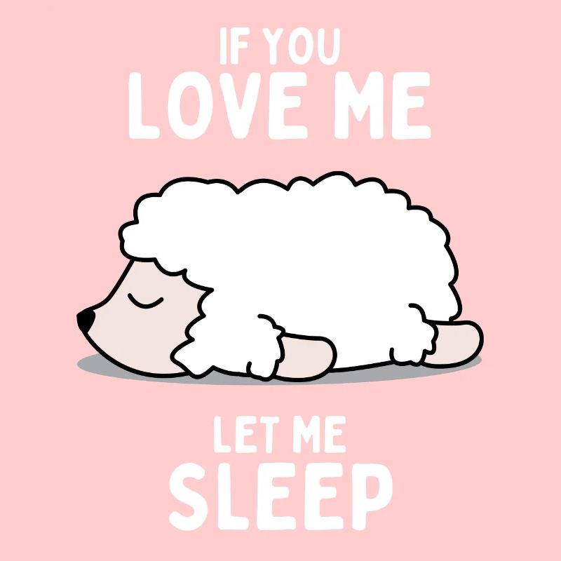 Sleeping Sheep Funny Gift