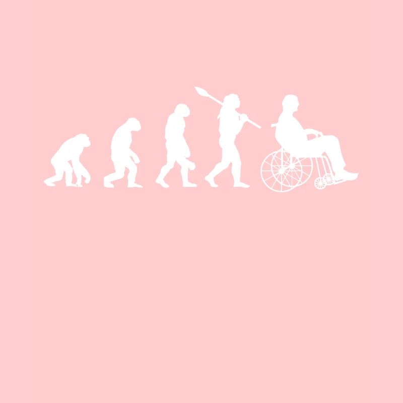 Rollstuhl Evolution Handicap Motivation