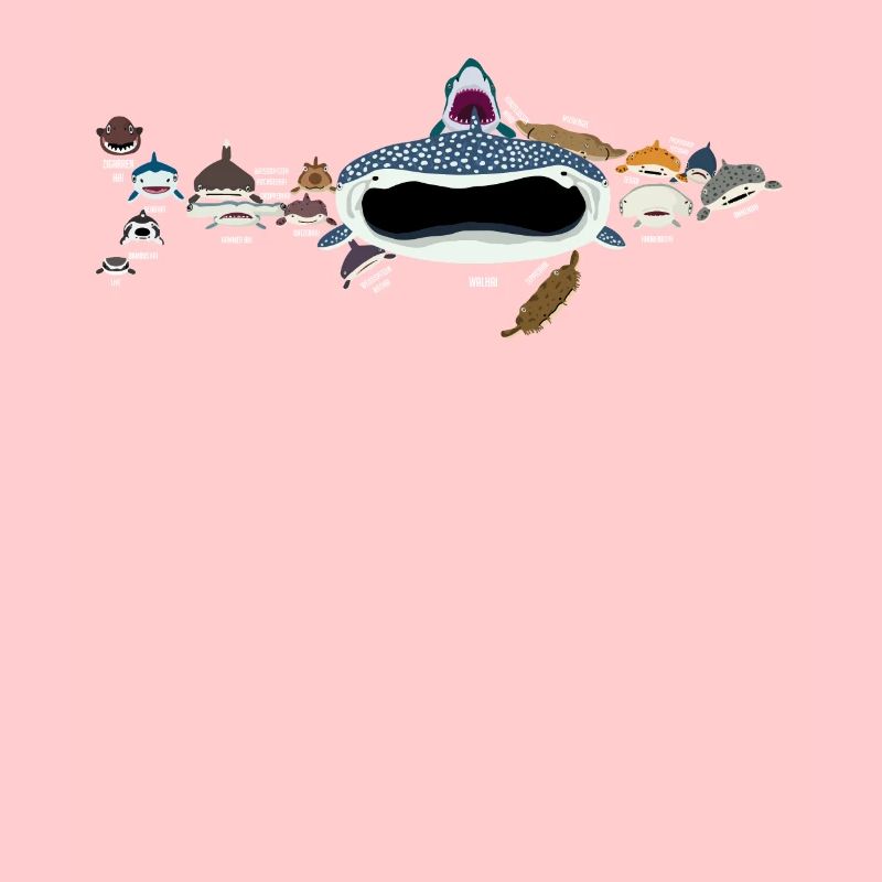Requins, requins, requins