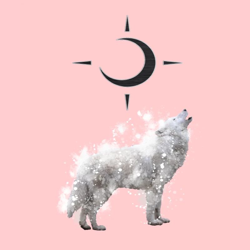 Wolf's Art with Crescent