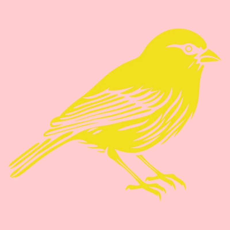 Canary