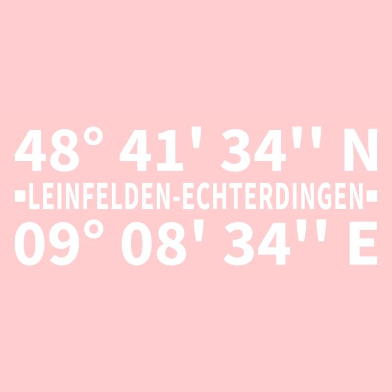 Coordonnées Leinfelden-Echterdingen