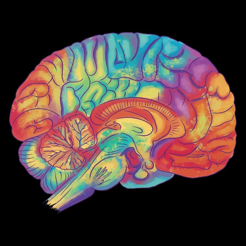 Brain