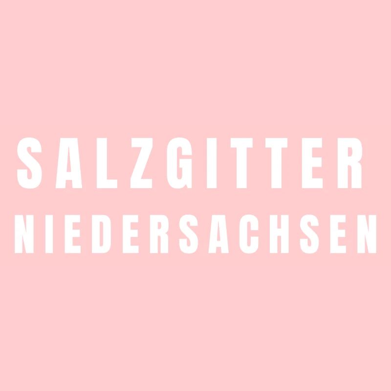 Salzgitter, Basse-Saxe
