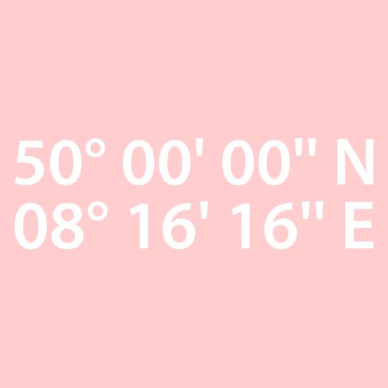 Coordonnées de Mayence