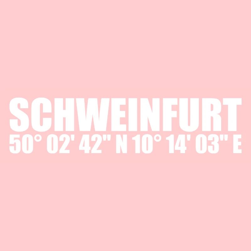 Schweinfurt Koordinaten