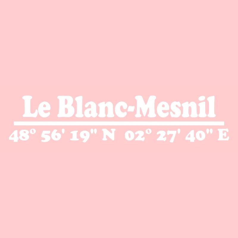 Coordonnées du Blanc-Mesnil