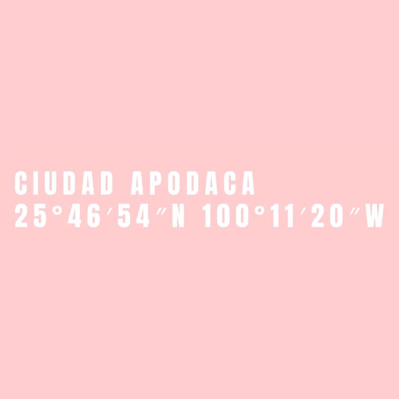 Nuevo León, Mexico Coordinates