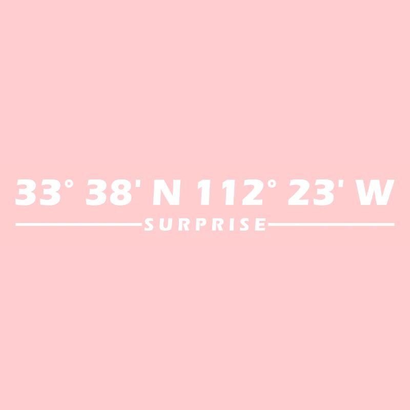 Surprise Coordinates