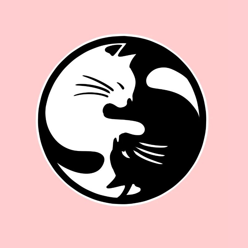 Ying Yang cat