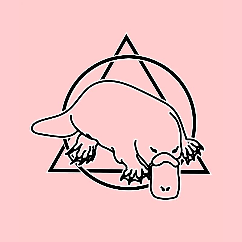 ornithorynque