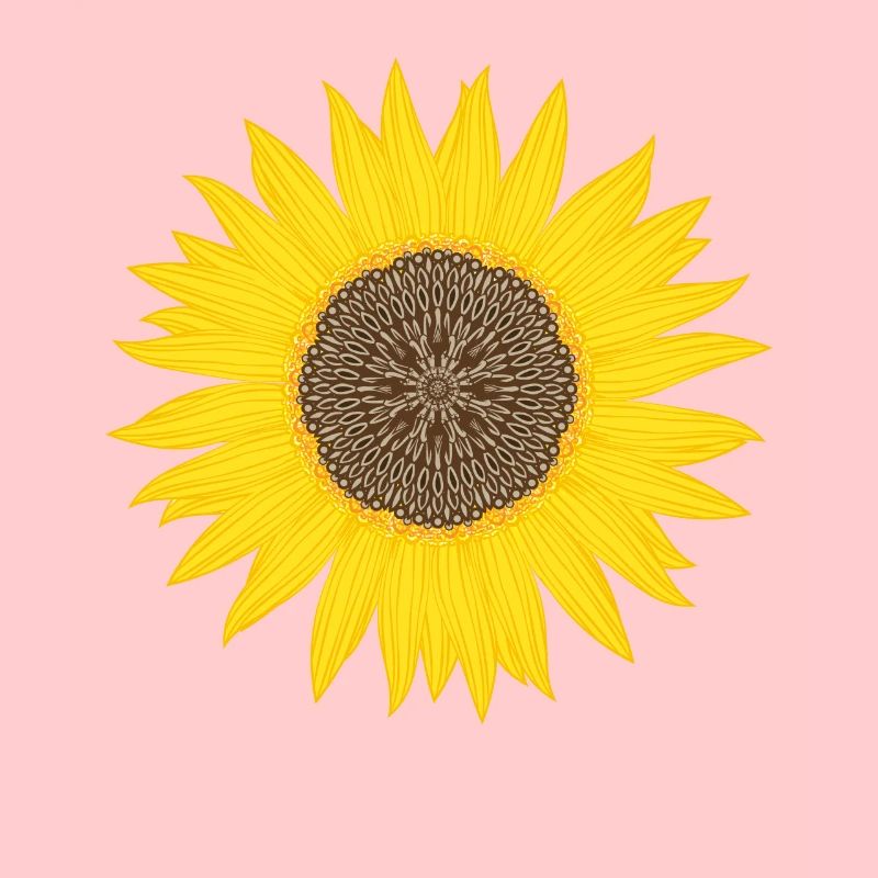 Fleur de tournesol graphique puissance beauté