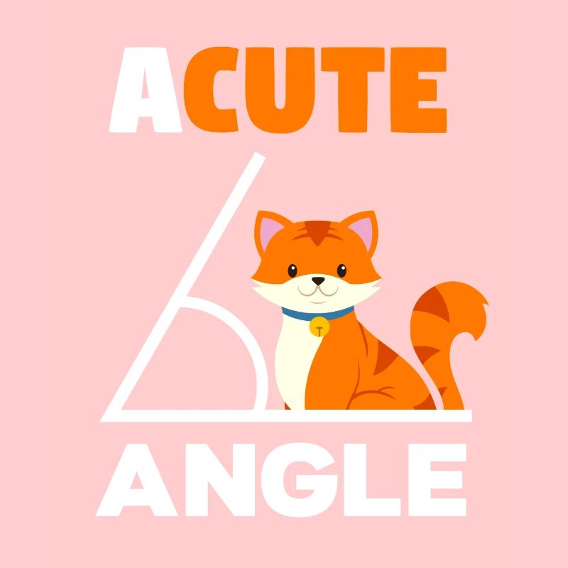 Cute angle cat math Math math teacher