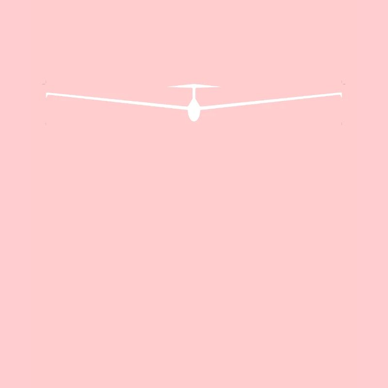 Planeur pilote