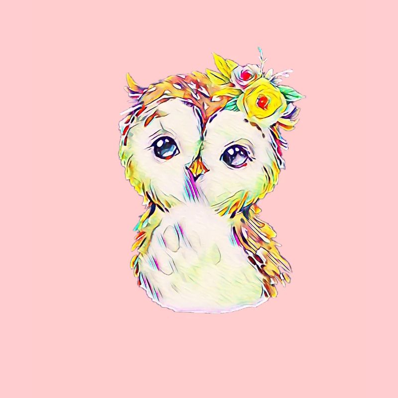 owl