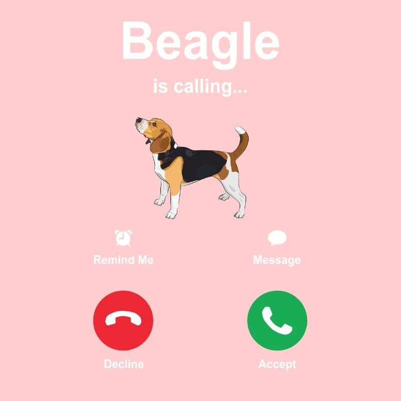 Beagle Hündchen Geschenkidee