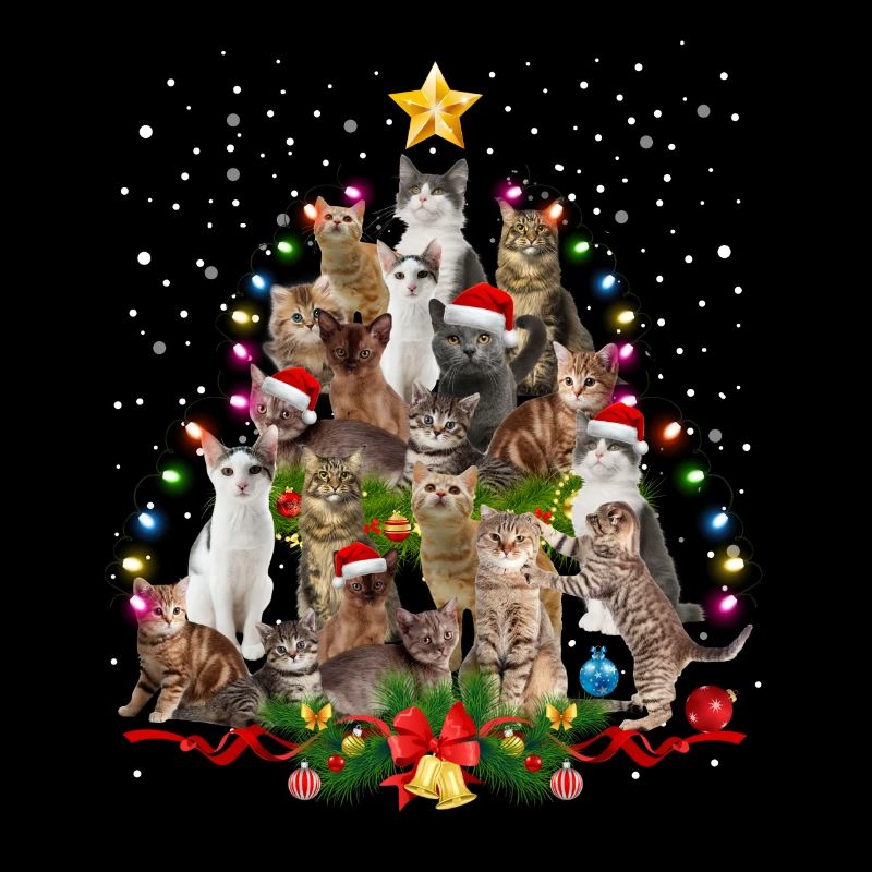 Weihnachtsbaum Katzen Weihnachten