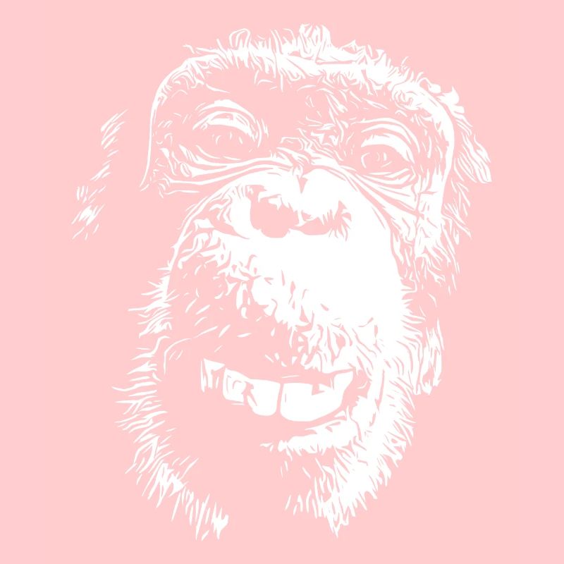 Monkey Monkey Face Chimpanzee Great Ape