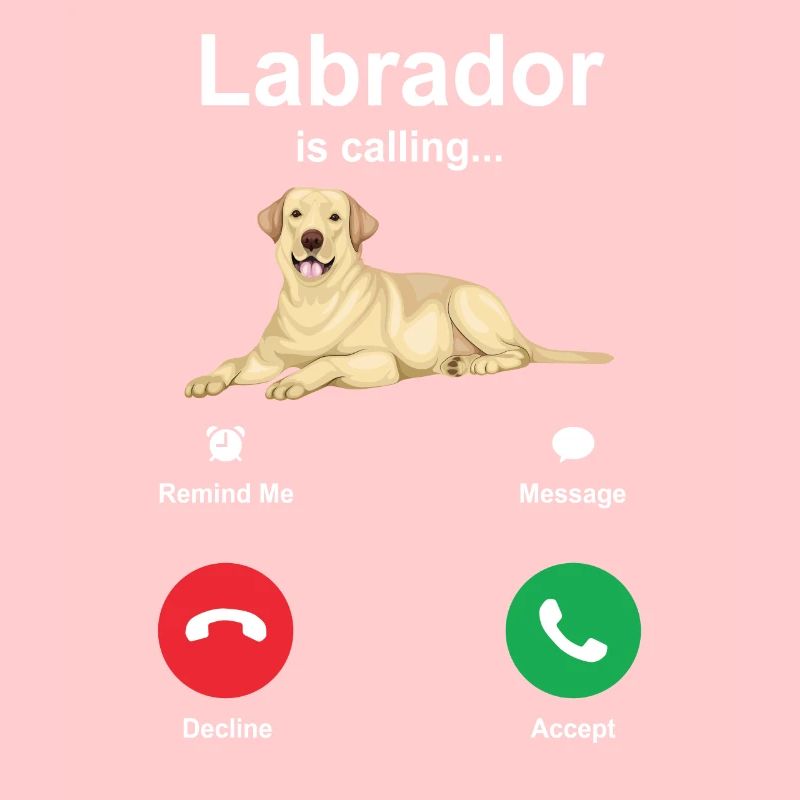 Labrador