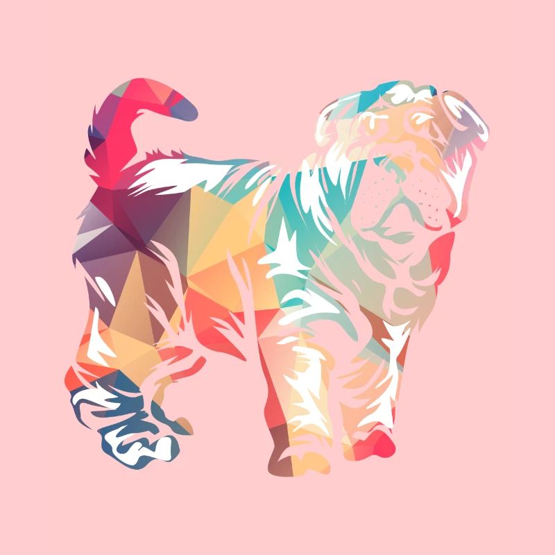 Shar Pei