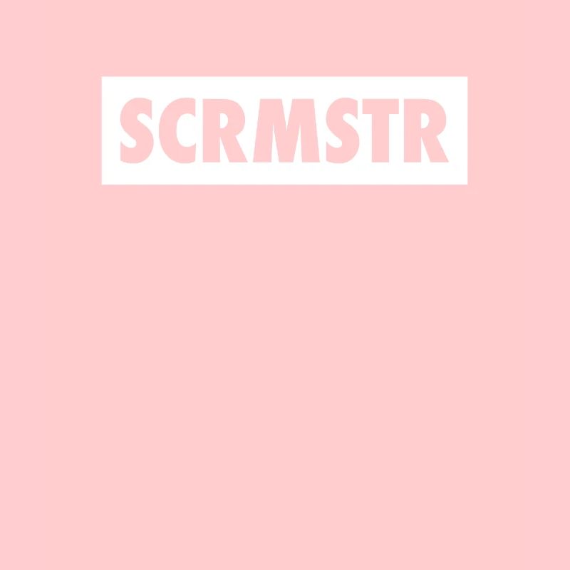 SCRMSTR - Scrum Master