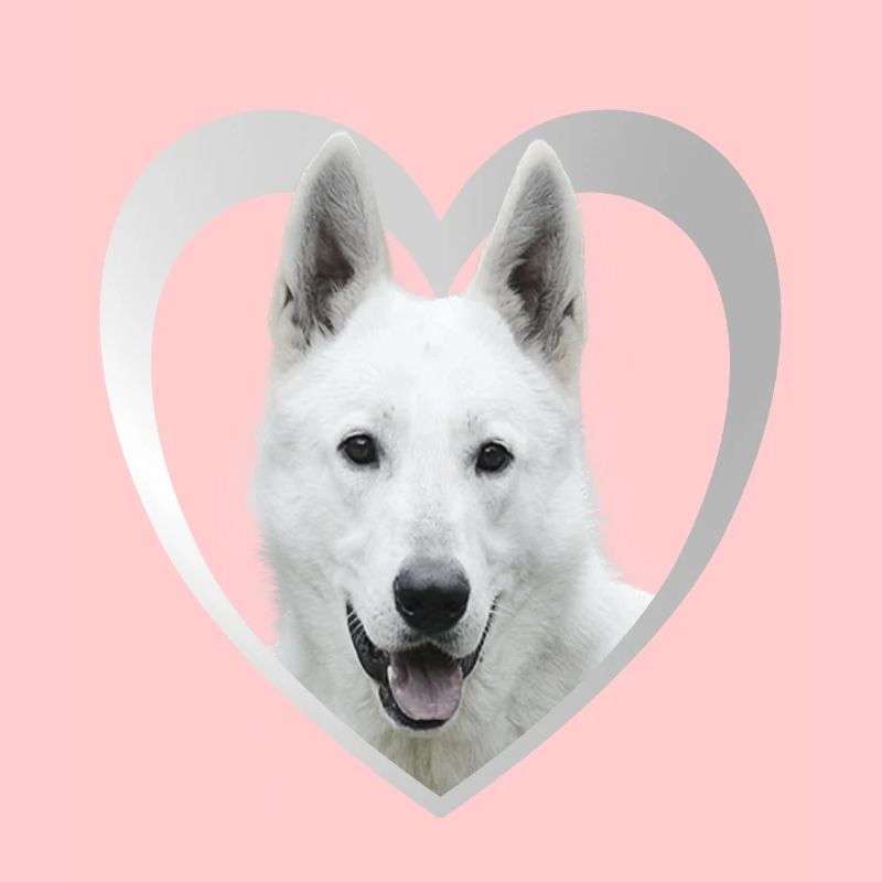 White Shepherd - White Shepherd Heart