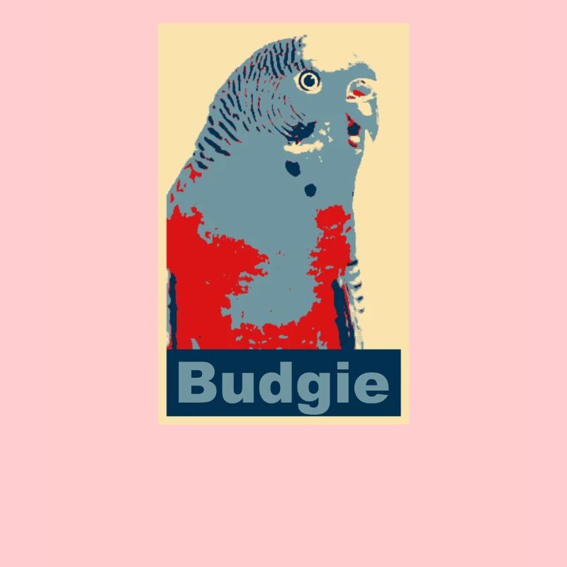 Perruche budgie image