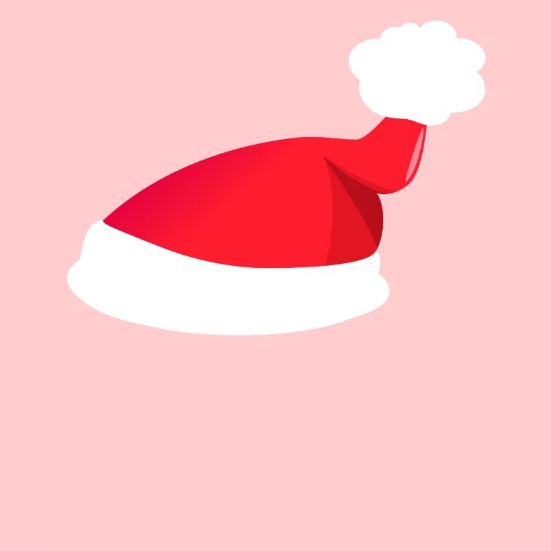 Bonnet de Nicolas