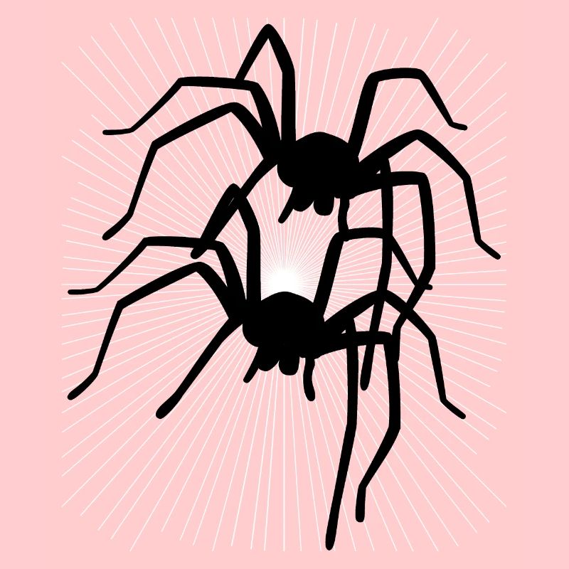 Spider Spiders Animals Crawling Disgust Horror