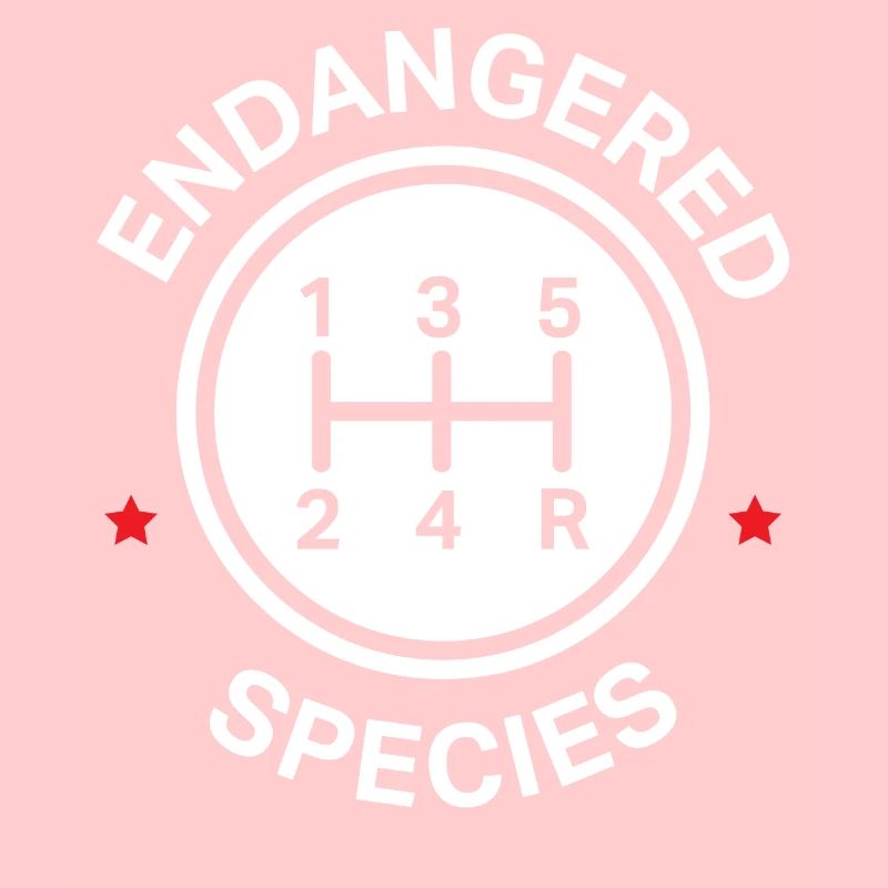 Manuelle Getriebe, Manuelles Verschieben