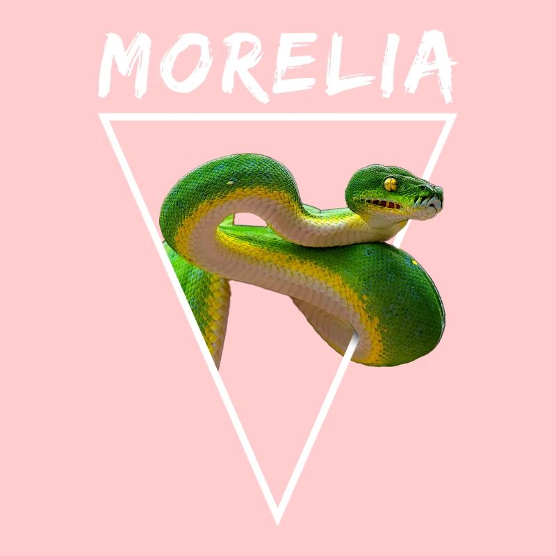 Grüner Baum Python Morelia Viridis Schlangenbesitzer