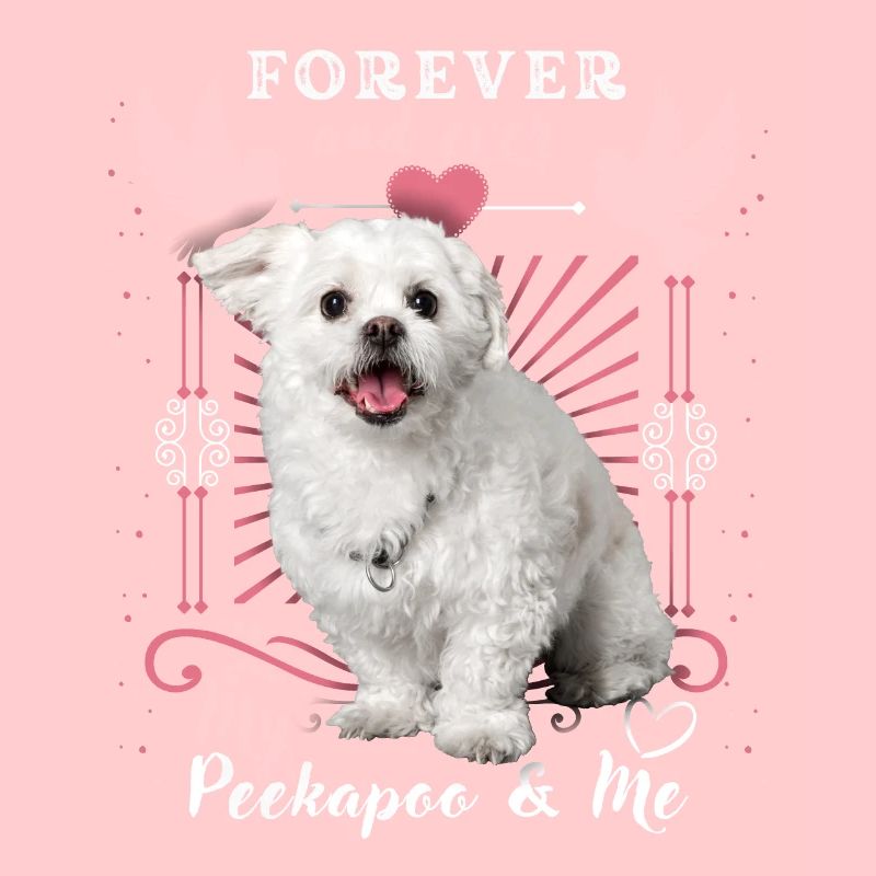 Peekapoo, Hund, Forever-Love, lustiger Spruch