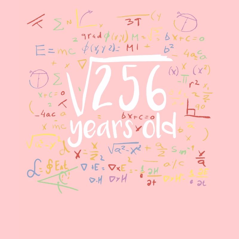 Racine carrée de 256 Math Nerd 16e anniversaire