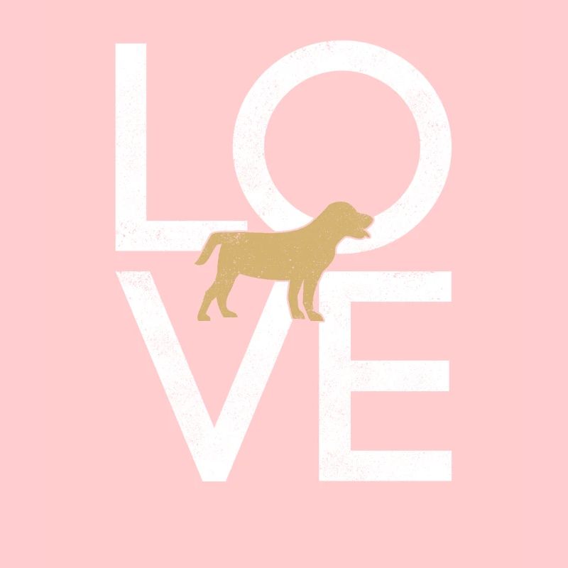 Chien