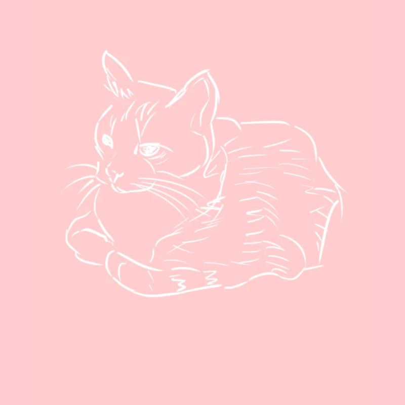 Große Katze Kater Cat Geschenk Geschenkidee