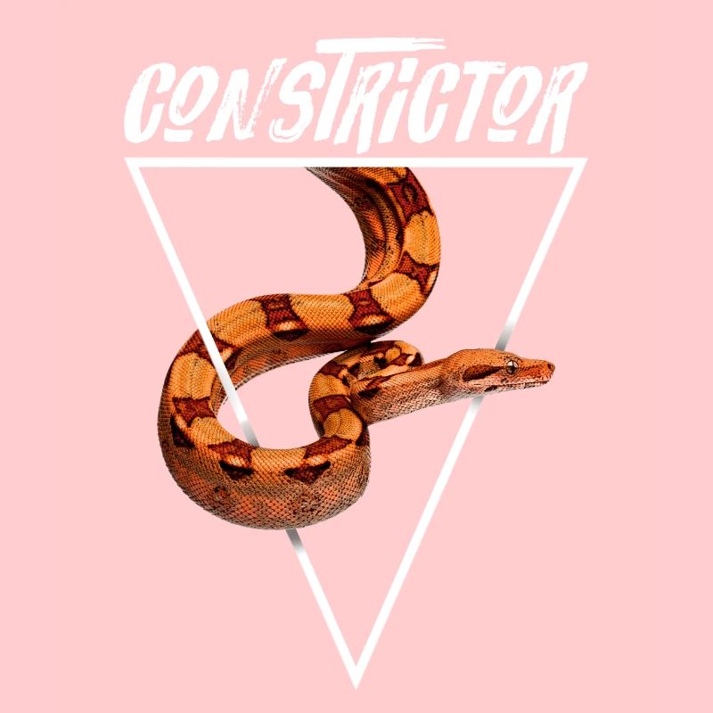Boa Constrictor Geometrisch