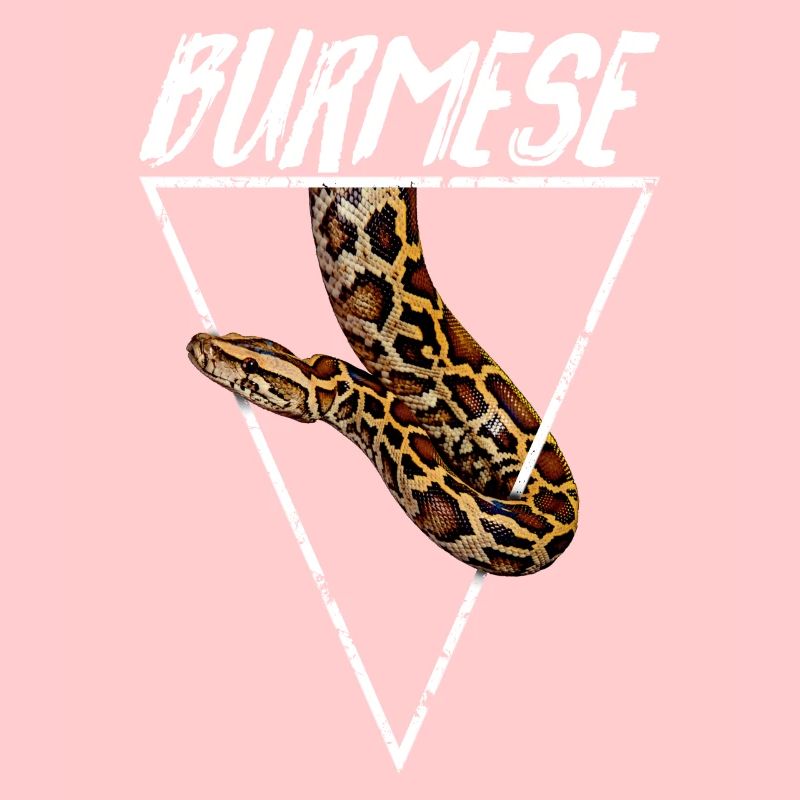 Burmese Python Owner Geometric