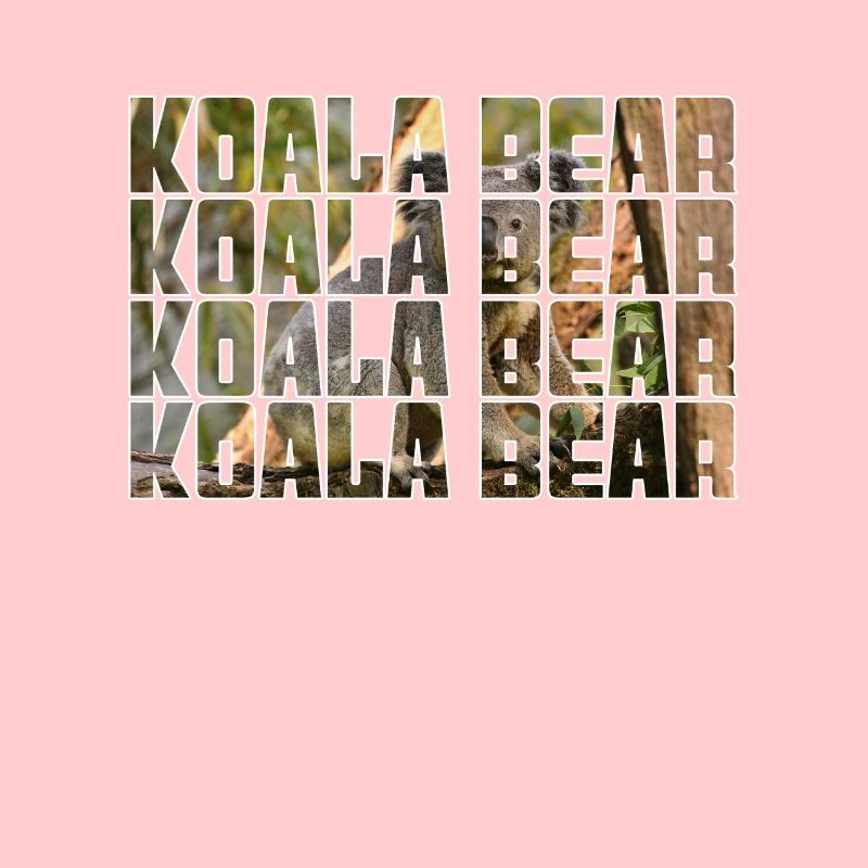 Koala Ours