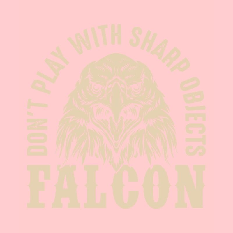 Falcon Sharp objects Falconry Eagle Goshawk Falk