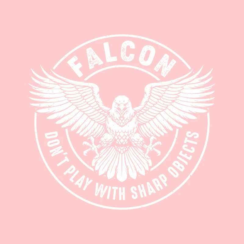 Falcon Sharp objects Falconry Ornithologist Eagle