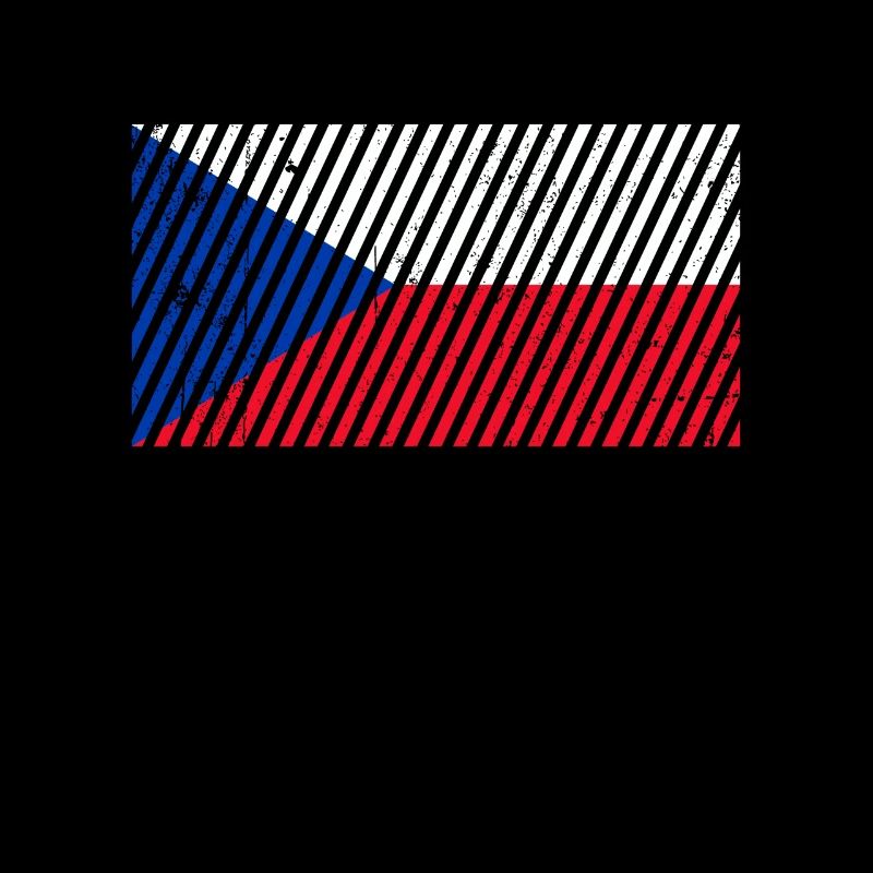 Czech Republic Flag