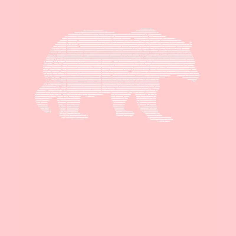Bär