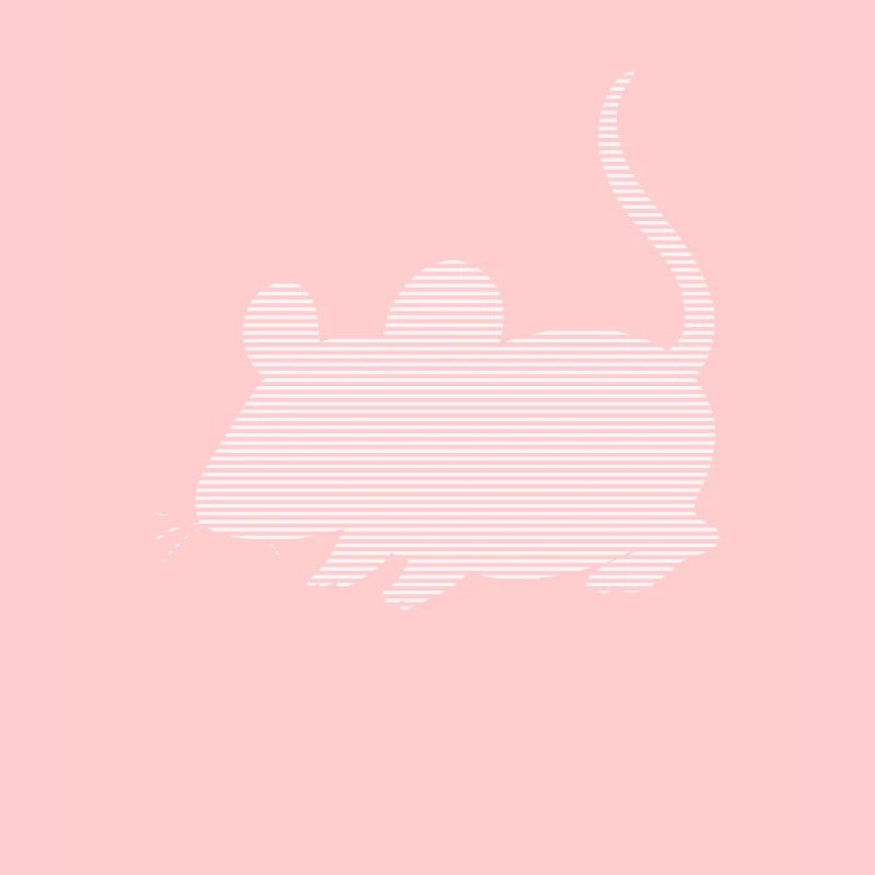 Maus