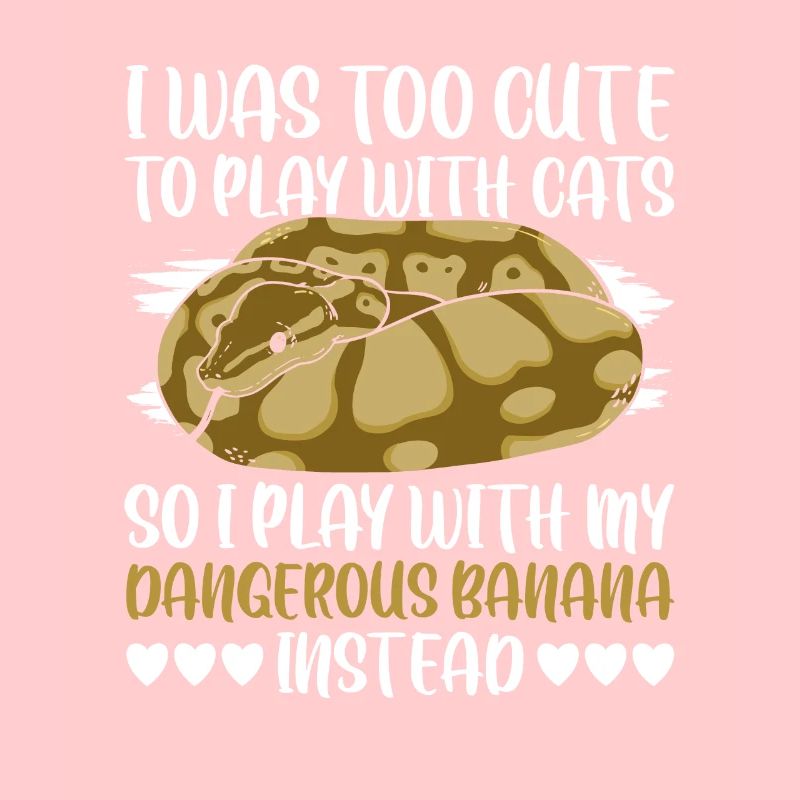 Dangerous Banana Königspython Banana Ball Python