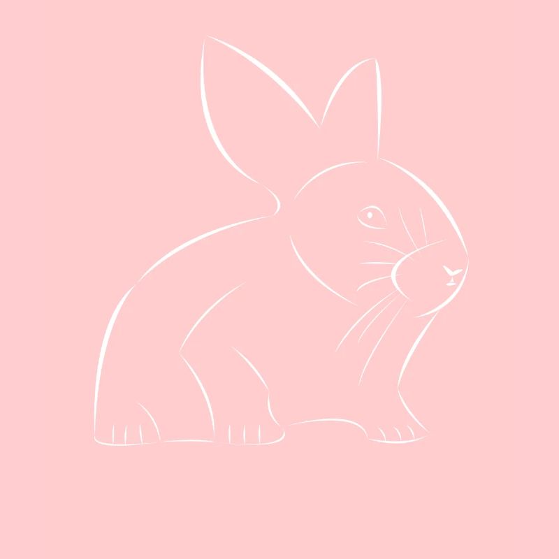 Lapin dessiné