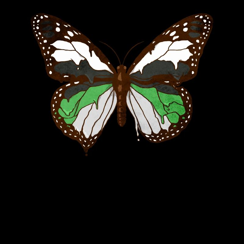 Demiromantic Pride Flag Butterfly Subtle L